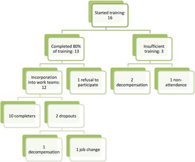 Training Peer Support Workers in Mental Health Care: A Mixed Methods Study in Central Catalonia